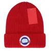 Designer Beanie Luxury Sticke Hat Ins Populära vinterhattar Klassiskt brevtryck Kaps 17 färg mycket bra