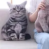 50cm 3Dシミュレーションぬいぐるみ猫枕かわいい猫柔らかいぬいぐるみクッションソファ装飾漫画漫画子供用子供ギフトba49 c23