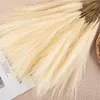 Flores decorativas 10pcs Pampas-hierba artificial para relleno de jarrón Ramo de boda Arreglo de bricolaje