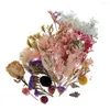 装飾的な花天然乾燥した組み合わせ樹脂スクラップブッキングカードを作るためのdiyプレス花