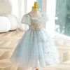 Fille Robes 1-12Y Enfants Tulle Robe Formelle Col En V Manches Bouffantes A-ligne Fleur Robe Enfants Étoiles Appliques Robe De Bal Pour La Fête De Mariage