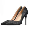 Dress Shoes Fashion Stiletto High Heel Women Pointed Toe Work Pumps vrouwelijke trouwfeestkantoor carrière elegant grote size H0009