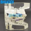 Other Oral Hygiene 1 piece Transparent Dental Orthodontic Mallocclusion Model with Brackets Archwire buccal tube for Patient Communication 230524