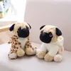 Poupées en peluche 20CM Peluches Simulation Chiens En Peluche Sharpei Carlin Beau Chiot Jouet En Peluche Animal Jouet Enfants Enfants Anniversaire Cadeaux De Noël 230523