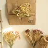 Kwiaty dekoracyjne 1PC mały dziki suszony bukiet do majsterkowania Kwiat Materiał Home Wedding Party Decor Fake