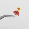 Dekoratif Çiçekler Kanlı Sütlü Bozuk Preslenmiş Doğal Kurutulmuş Sanat Reçine Malzemeleri DIY Mum Yaparak 12 PCS/Bag Çelenkleri