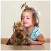 Hundkläder 10/20st Style Thanksgiving Hair Bows With Rubber Bands Flower Pet Supplies Small Cat Accessories