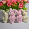 Plush Dolls 50pc/Lot 4.5/6cm 4colors Soft Mini Coint Rabbit Bendant Plush Bunny for Beafer Bouket Toy Doll Diy Gifts 230523