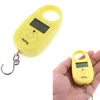 100Pcs/lot Hot sale 25kg x 5g Mini Electronic Digital Hanging Luggage Scale pocket Portable LCD Weight Weighing Scale