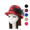 Cloches Autunno E Inverno Nobile Garza Piuma Grande Fiore Cappello A Cilindro Donna Imitazione Ciotola Di Lana Gslm045 Accessori Moda Cap Drop D Dhb4T