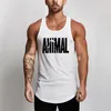 Mens tanktops Summer Brand Fitness Top Men Bodybuilding Gyms Kleding Shirt Slim Fit Vesten Mesh Singlets Muscle 230524