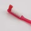 Escova de dentes Dr.Perfect 12pcs/bandeja transparente de dentes de dentes de cerdas duras TRAVILME