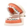 Autre hygiène bucco-dentaire 1pc modèle de traitement orthodontique dentaire avec support en céramique ortho métal fil d'arc tube buccal liens de ligature outils dentaires 230524