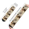 Men's Socks Alaskan Malamute Collage On Word Pattern Dress For Men Women Warm Funny Novelty Siberian Husky Crew