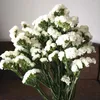 Dekorative Blumen, getrocknet, konserviert, Vergissmeinnicht-Blumenstrauß, natürliches Lavendelbündel für Arrangements, Hochzeit, Tischdekoration