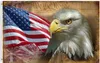 Banner Flagi USA Vintage American Flag Bald Eagle Flag Dekoracja domu Outdoor Decor Banery poliestrowe i flagi 90x150 cm 120x180cm G230524