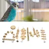 Autres fournitures pour oiseaux perroquet balançoire jouets à mâcher résistance aux morsures escalade pour perroquets perruche