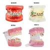 Other Oral Hygiene Multiple Types Dental Model Teeth Dental Teaching Models Study Orthodontic Removable Teeth Implant Models Dentist Material 230524