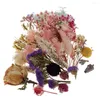 Fiori decorativi Combinazione essiccata naturale Fiore pressato fai-da-te per abbellimento di carte Scrapbooking in resina