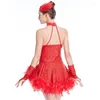 Abbigliamento da palcoscenico Abito da ballo latino Donna Gonna di piume con paillettes Samba Salsa Cha Rumba Concorso di tango Ragazze Balletto Performance DN6426