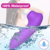 Vibrateurs Clitoris ventouse vibrateur femelle Nipple Stimulateur de vide clinique ventouse adulte sex toy 18 produits de masturbation féminine 230524