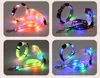 LED Light UP Dog Leash and Light UP Dog Collar Rechargeable Waterproof Glow in The Dark Dog Leash with Light Luminous Reflective Dog Lights for Pet Safety Night Walking