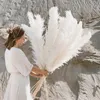 5pcs 80cm Pampas Grass Large Decorative Dried Flowers Natural Living Room Decoration Fluffy Home Decor Bouquet For Wedding Party