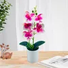 Decoratieve bloemen Uitstekende faux bonsai felgekleurde delicate 5 stijlen realistische kunstmatige orchidee