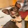 LEASHES HEEMENDE LUXURISCHE DOGEN Kraagontwerpster Pets Leiben Set Set Dog Carrars Liemes Liet geleverd met doos PU Leather Brand Cat Collar