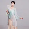 Classical Dance Attire, Women's Flowing Gauze Attire, Chinese Dance Practice Attire, Women's Body Charm, Immortal Spirit, Chiffon Top,