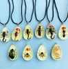 Pendant Necklaces Resin Insect Charms Necklace Luminous Insects Amber Rope Scorpion Ant Stalls Manufacturers WholesalePendant