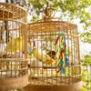 Autres fournitures pour oiseaux 6 pièces/ensemble oiseaux de compagnie balançoire jouets à mâcher Cage perchoirs suspendus cloches corde d'escalade jouet