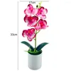 Decoratieve bloemen Uitstekende faux bonsai felgekleurde delicate 5 stijlen realistische kunstmatige orchidee