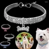 Colarinhos de cachorro Pet Rhinestone Collar Acessórios elásticos Cristal de diamante de cores mistas para gatos e cães animais de estimação