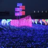 LED 문자열 크리스마스 조명 10m 100 줄 크리스마스 장식 라이트 파티 웨딩 홀리데이 조명 램프를위한 110V