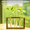 Vases Plant Propagation Stations Wall Hanging Plant Terrariums Tabletop Glass Wooden Stand With 3 Propagation Tubes 230525