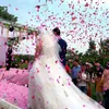 Fleurs décoratives 1000 Pcs Soie Rose Pétales Fleur 5 cm Coloré Pour Soirée Romantique Table Ornement De Mariage Fiançailles Fête Maison