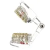 Autre Hygiène Bucco-Dentaire Modèle Dentaire Dents Implant Restauration Pont Enseignement Étude Science Maladie Dentiste Dentisterie Produits Dentaire Cadeau 230524