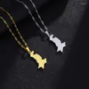 Hänge halsband rostfritt stål pakistan karta för kvinnor flickor guld och silver färg pakistansk etniska parti engagemang smycken