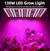 Luzes de cultivo de LED, lâmpada de cultivo de espectro completo com luzes de plantas LED IR UV para plantas internas, tempo diminuído, estufa, suculentas, mudas 100w 12V 24V