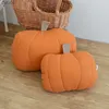 Bebekler Çocuk Peluş Oyuncak Ins Yaratıcı Ev Karikatür Kababası Pumpkin Sevimli Arkadaş Yastığı Yaz Şikt Yastığı Çocuk Odası Dekorasyon Bebek L230522