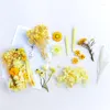Dekorativa blommor 1 låda med naturtorkade kronblad diy mobiltelefon skalljus handgjorda hantverk epoxiharts hänge halsbandsmycken