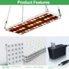 LED büyüme ışıkları, tam spektrum büyüme lambası IR UV ile kapalı bitkiler, mikro yeşillikler, klonlar, sulu meyveler, fideler için LED bitki ışıkları düşük güç 20W 40W 60W 12V 24V