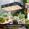 LED Grow Light ، 1000 واط LED مصابيح طيف كاملة قابلة للضايق مع سلسلة Daisy و UV IR LED للنباتات الداخلية بزرع الخضار الزهور التي تنمو 200 واط الزراعة المائية