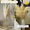 Kwiaty dekoracyjne 10pcs duży pampas wystrój salonu naturalna suszona trawa puszysty bukiet boho domowy łuk ślubny