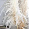 Kwiaty dekoracyjne 10pcs duży pampas wystrój salonu naturalna suszona trawa puszysty bukiet boho domowy łuk ślubny