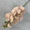 Dekorative Blumen Künstliche Phalaenopsis-Zweige Kunststoff Fake Home Restaurant Dekoration 3D-gedruckte Schmetterlings-Orchideen-Simulationsblume