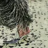 2023 Yaz Yeni Tasarım Moda Garip Yüksek Topuk Sandalar Popüler Büyüleyici Kadın Bahar Ayakkabıları Konfor Terlikleri