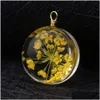 Charms Creative Dried Flower Pendant för örhänge Halsband Kvinna Fashion Glass Ball Pressed Diy Jewelry Accessories Drop Delivery Fin Dhoek