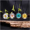 Anhänger Halsketten Mode Echte Trockene Sonnenblume Handgemachte Natürliche Dip Daisy Halskette Für Frauen Geschenk DIY Schmuck Zubehör Seil Pullover Dhtvq